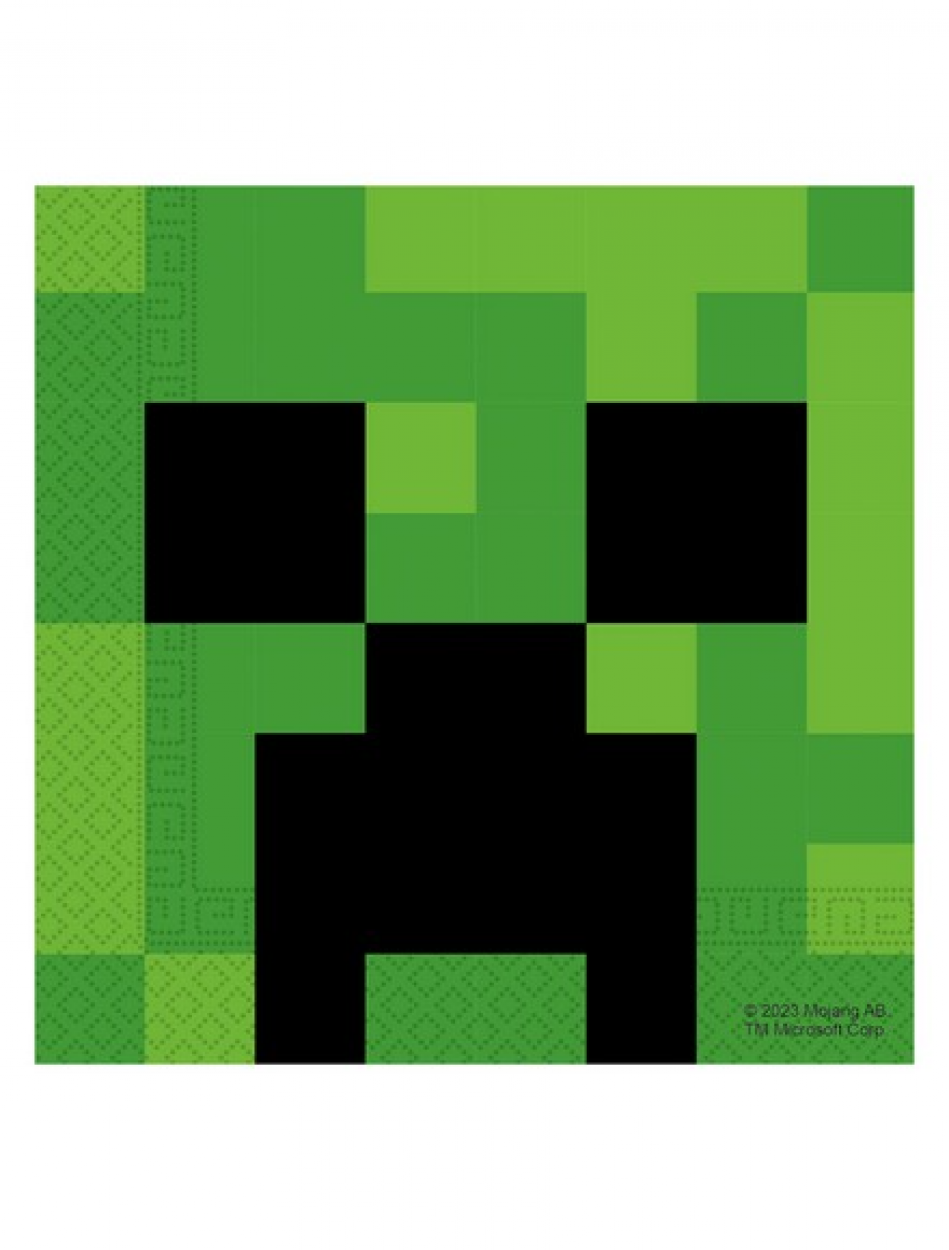 20 TOVAGLIOLI 33X33 MINECRAFT